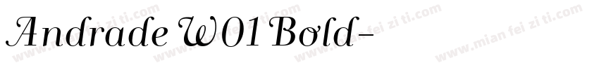 Andrade W01 Bold字体转换
